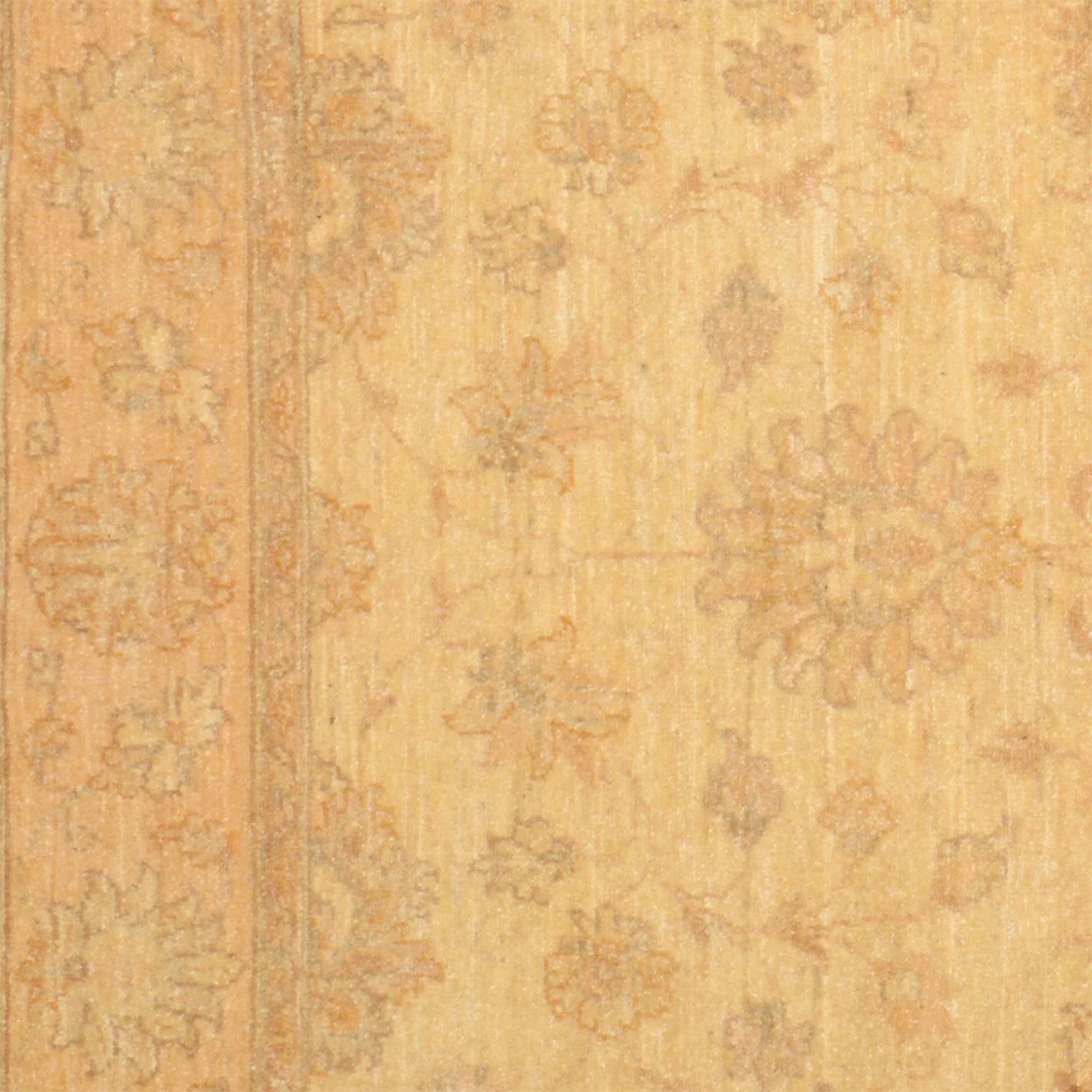Ziegler Pakistani Rug — hand-knotted, 148 × 207 cm, Wool