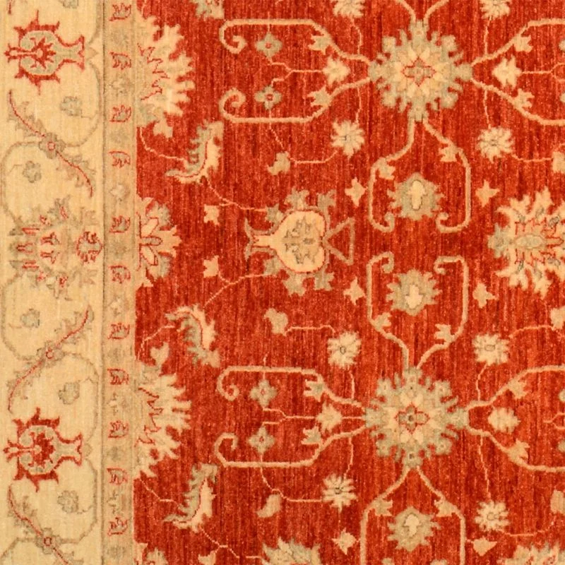 orientteppich-ziegler-161-x-245-cm-schurwolle-handgeknupft-3 Ziegler Pakistani Rug — hand-knotted, 161 × 245 cm, Wool