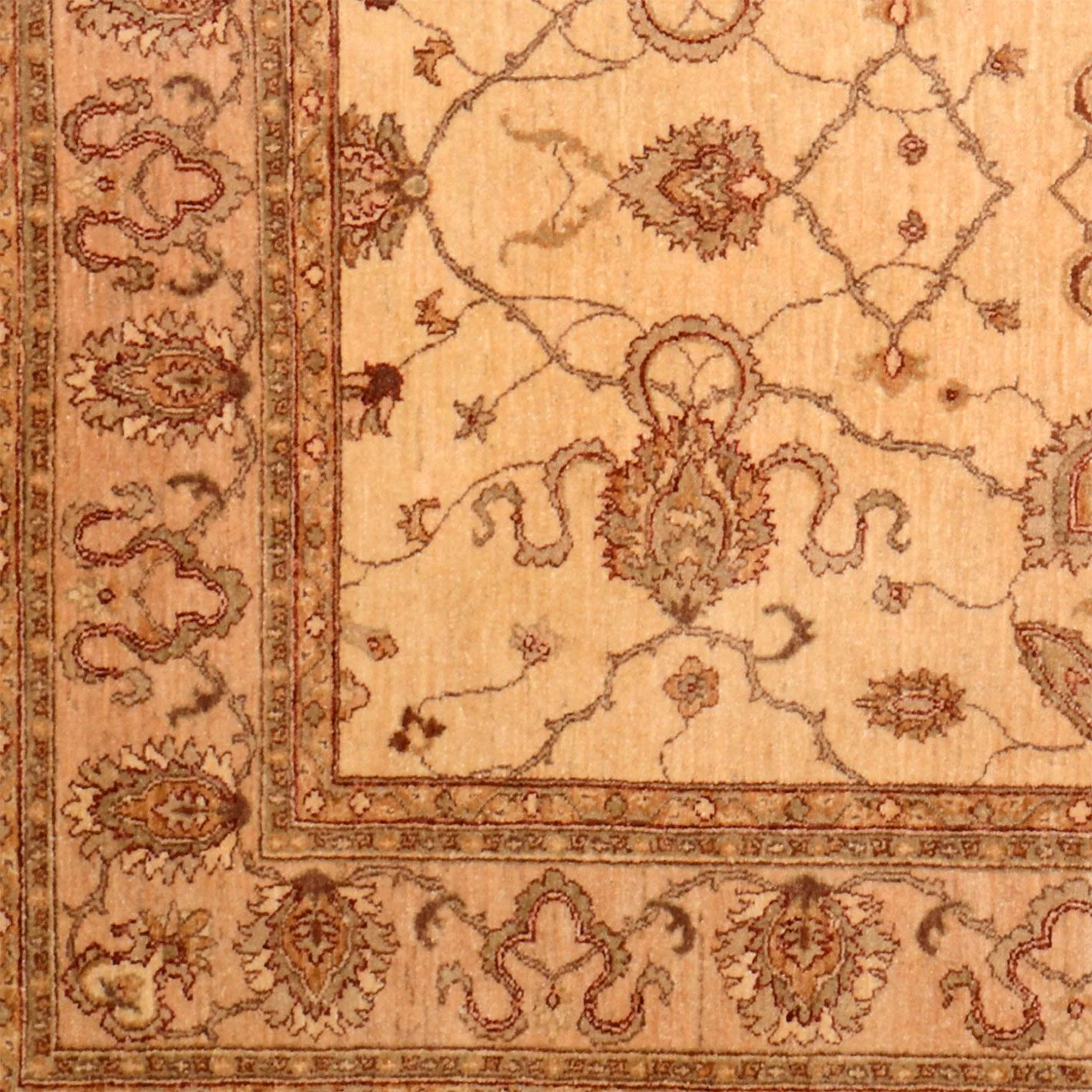 Hand-Knotted Wool Ziegler Pakistani Rug, 183 × 258 cm