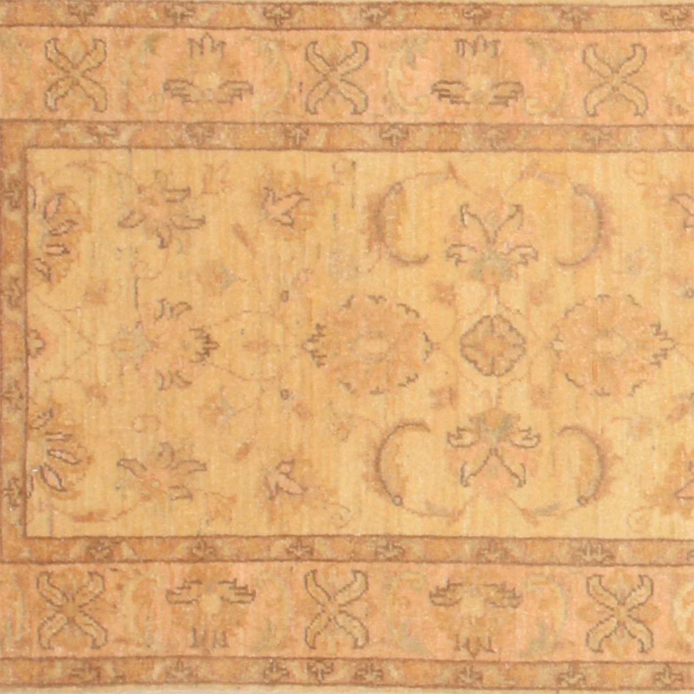 orientteppich-ziegler-80-x-298-cm-schurwolle-handgeknupft-laufer-3 Ziegler Pakistani Rug — hand-knotted, 80 × 298 cm, Wool