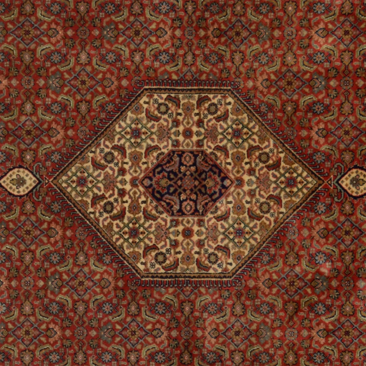 orientteppich-bidjar-200-x-295-cm-schurwolle-handgeknupft-3 Bijar Indian Rug 200 × 295 cm, Wool, hand-knotted
