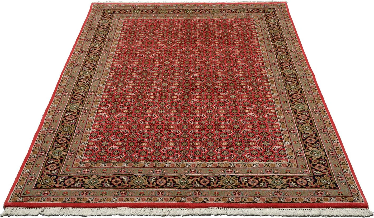 orientteppich-bidjar-170-x-241-cm-schurwolle-handgeknupft-1 Bijar Indian Rug 170 × 241 cm, Wool, hand-knotted