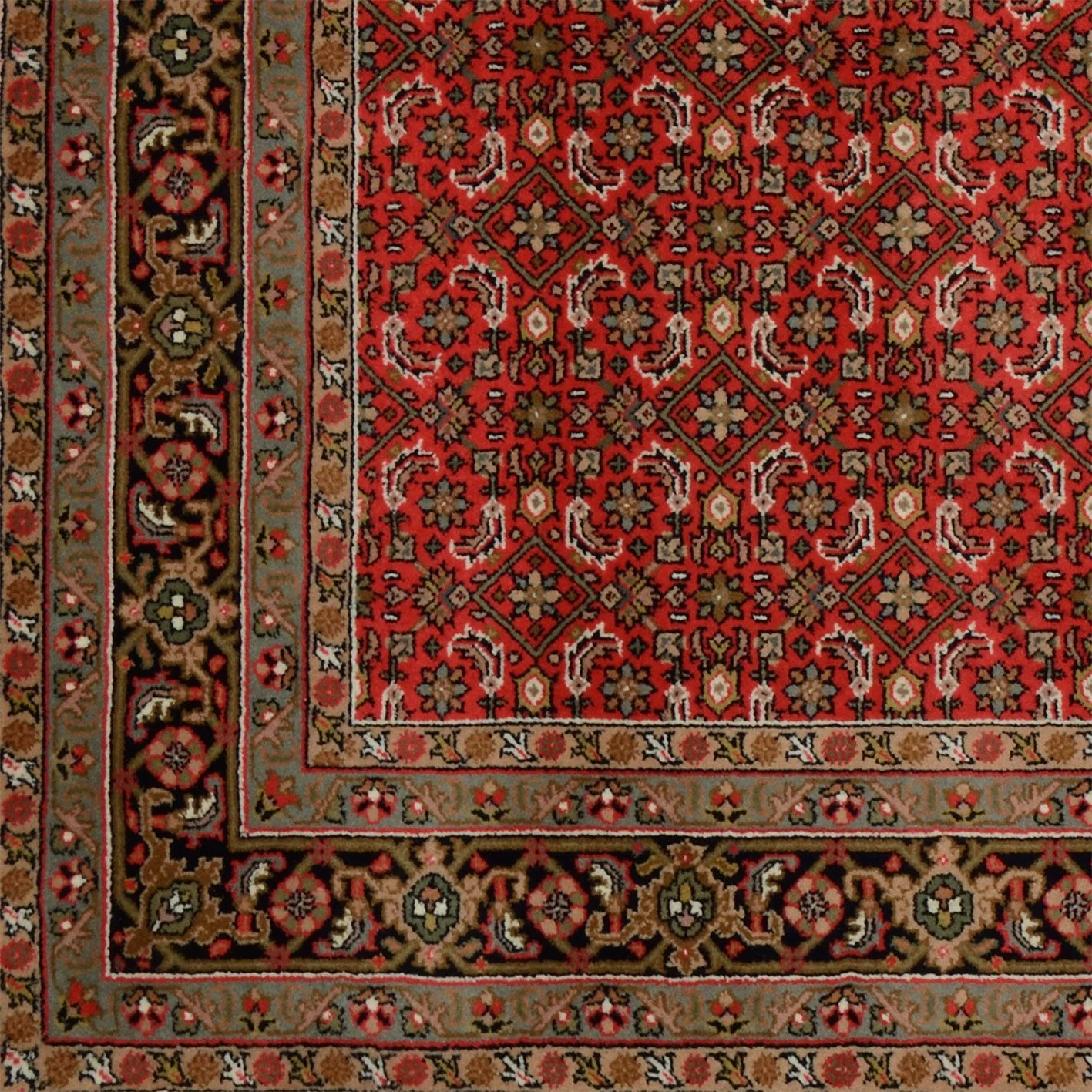 orientteppich-bidjar-170-x-241-cm-schurwolle-handgeknupft-3 Bijar Indian Rug 170 × 241 cm, Wool, hand-knotted