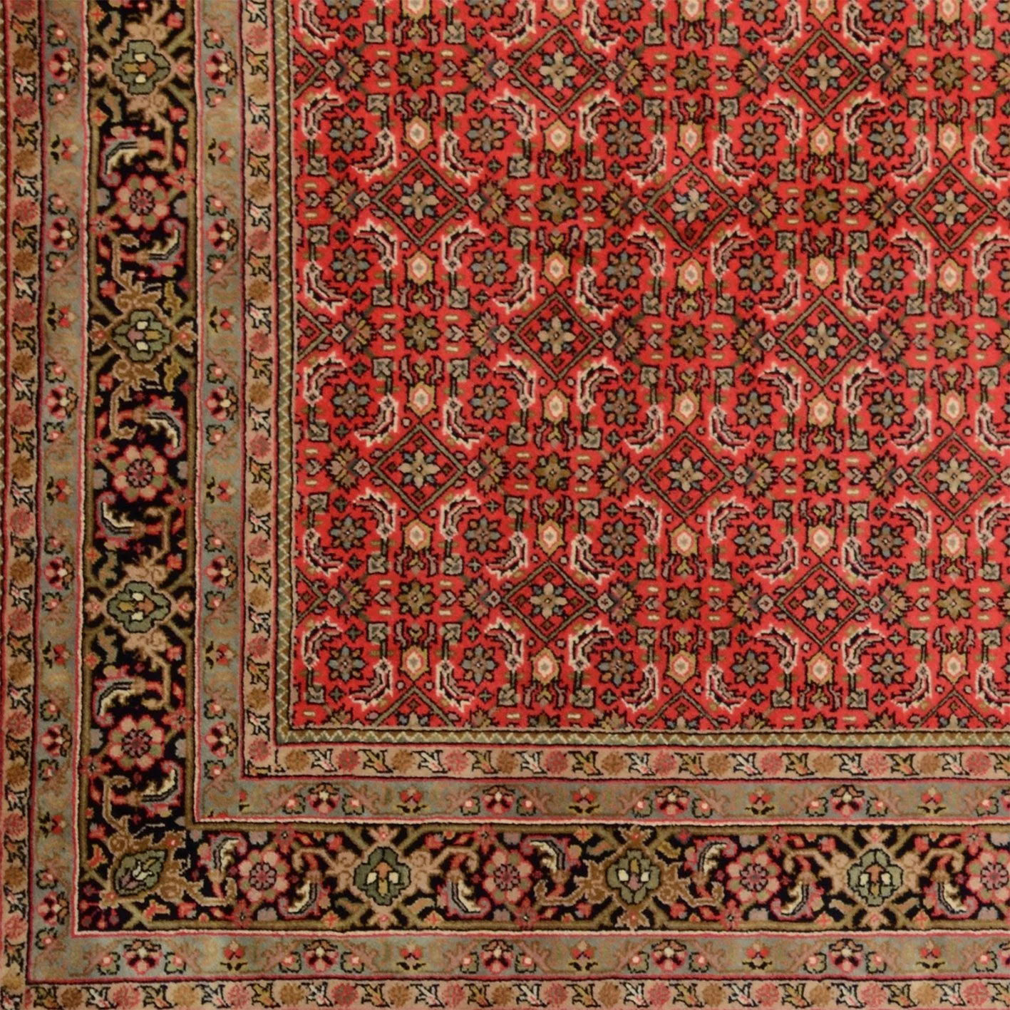 orientteppich-bidjar-201-x-288-cm-schurwolle-handgeknupft-3 Hand-Knotted Wool Bijar Indian Rug, 201 × 288 cm