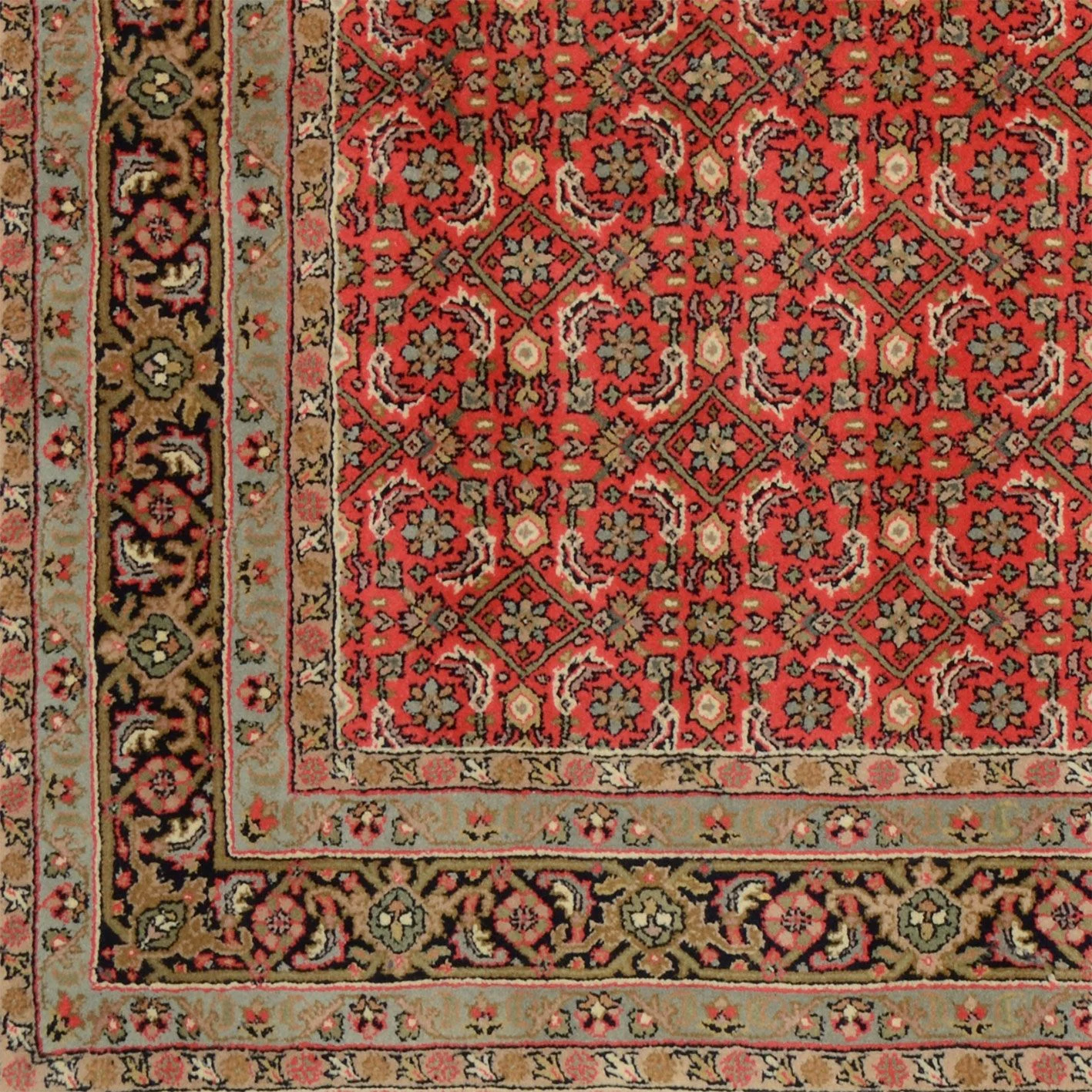 orientteppich-bidjar-166-x-244-cm-schurwolle-handgeknupft-3 Hand-Knotted Wool Bijar Indian Rug, 166 × 244 cm