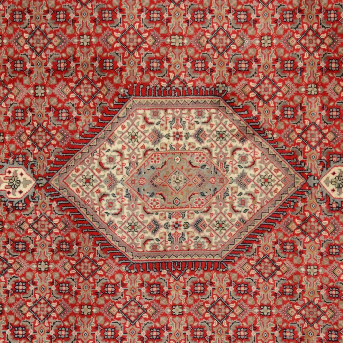 orientteppich-bidjar-193-x-298-cm-schurwolle-handgeknupft-3 Bijar Indian Rug 193 × 298 cm, Wool, hand-knotted
