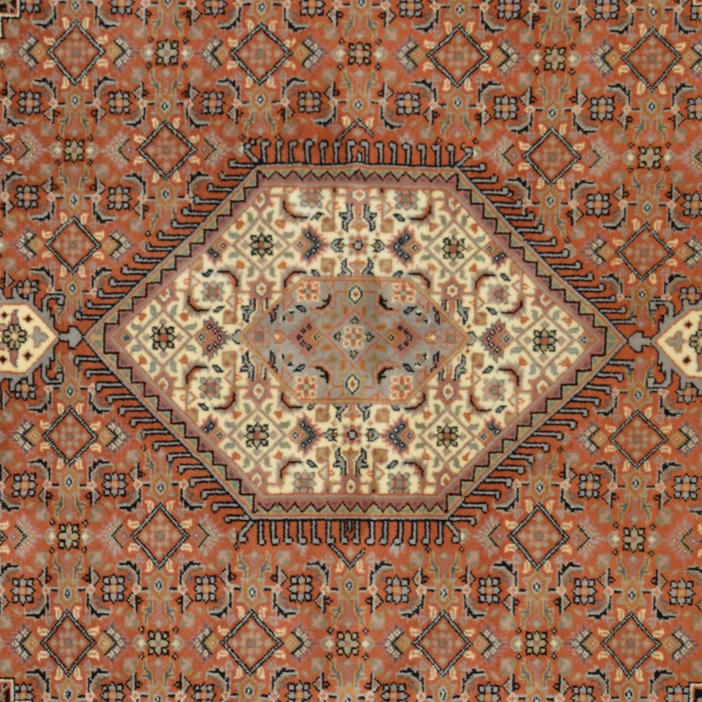 orientteppich-bidjar-198-x-246-cm-schurwolle-handgeknupft-3 Hand-Knotted Wool Bijar Indian Rug, 198 × 246 cm