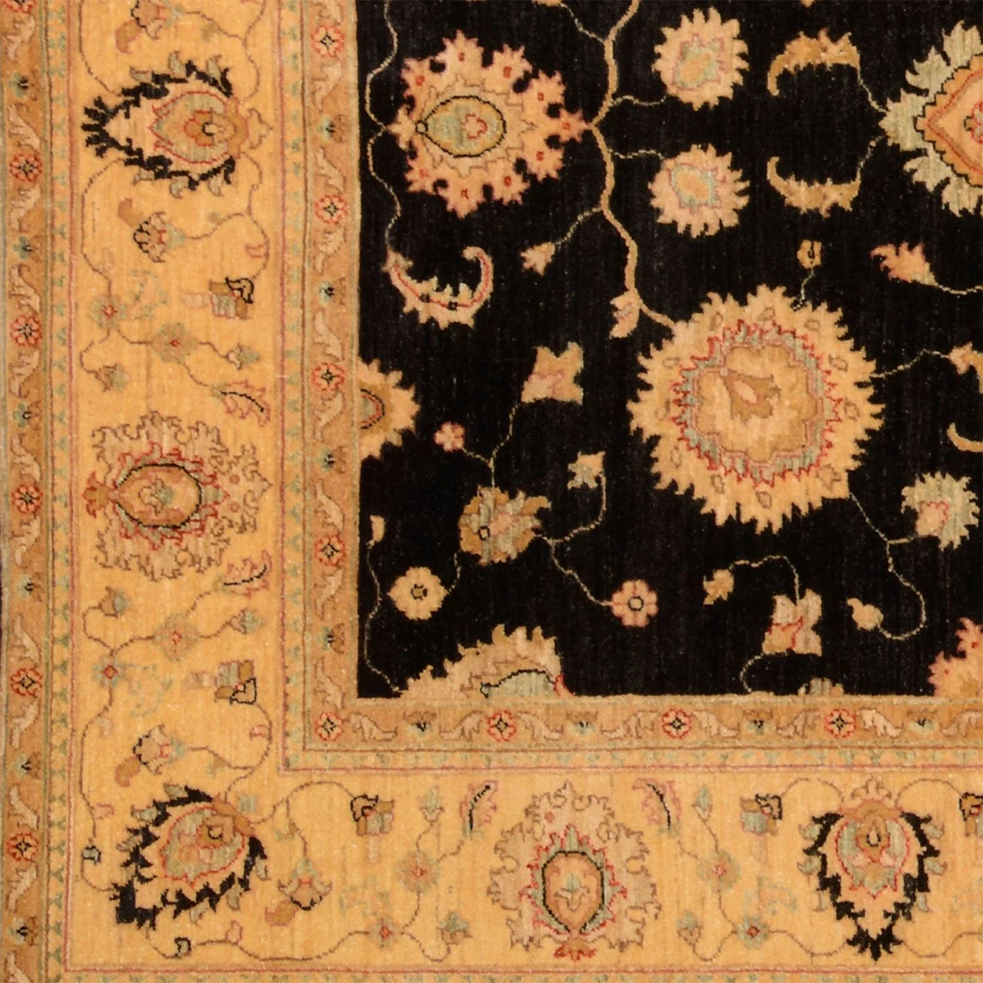 Ziegler Pakistani Rug — hand-knotted, 200 × 254 cm, Wool