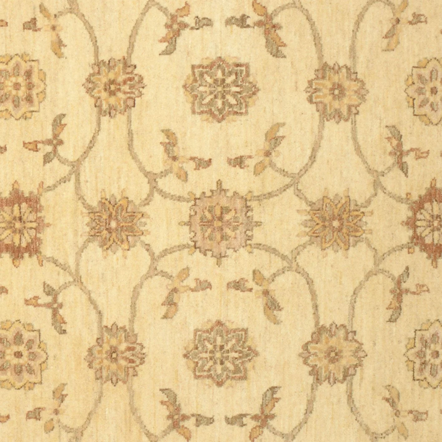 Ziegler Pakistani Rug — hand-knotted, 159 × 223 cm, Wool