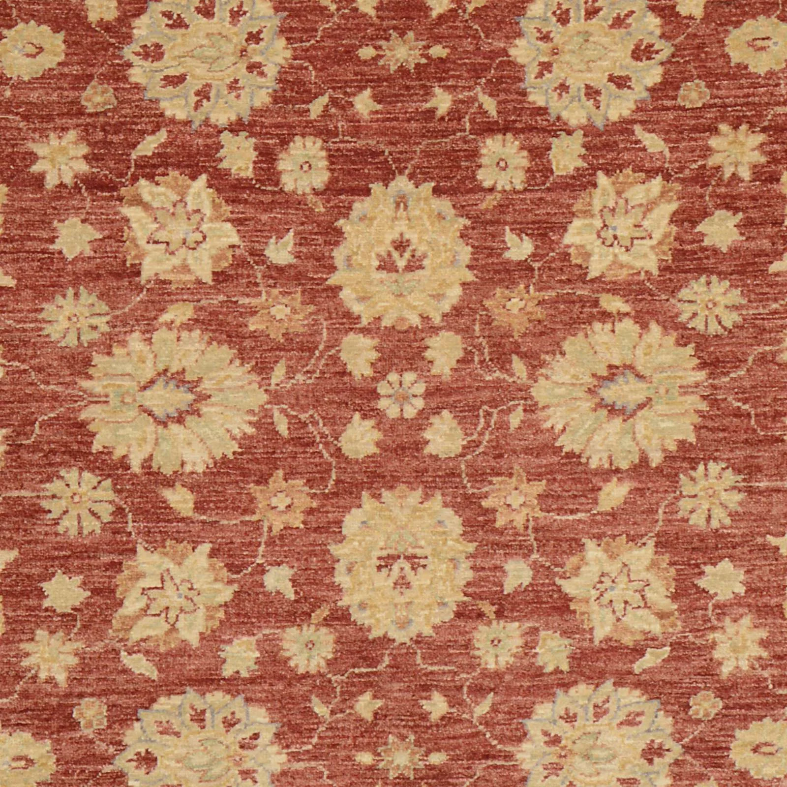 Ziegler Pakistani Rug 223 × 154 cm, Wool, hand-knotted
