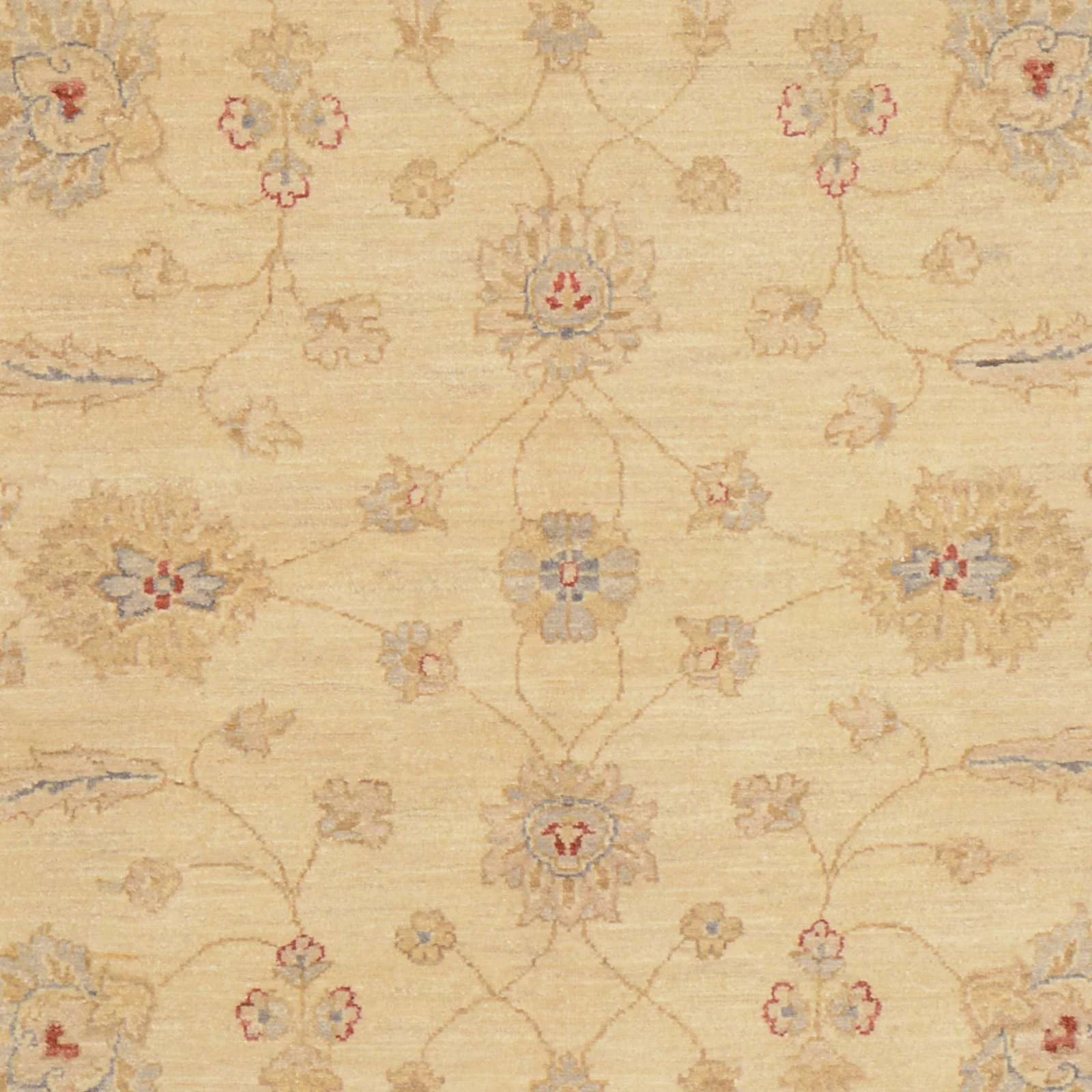 Hand-Knotted Wool Ziegler Pakistani Rug, 238 × 163 cm