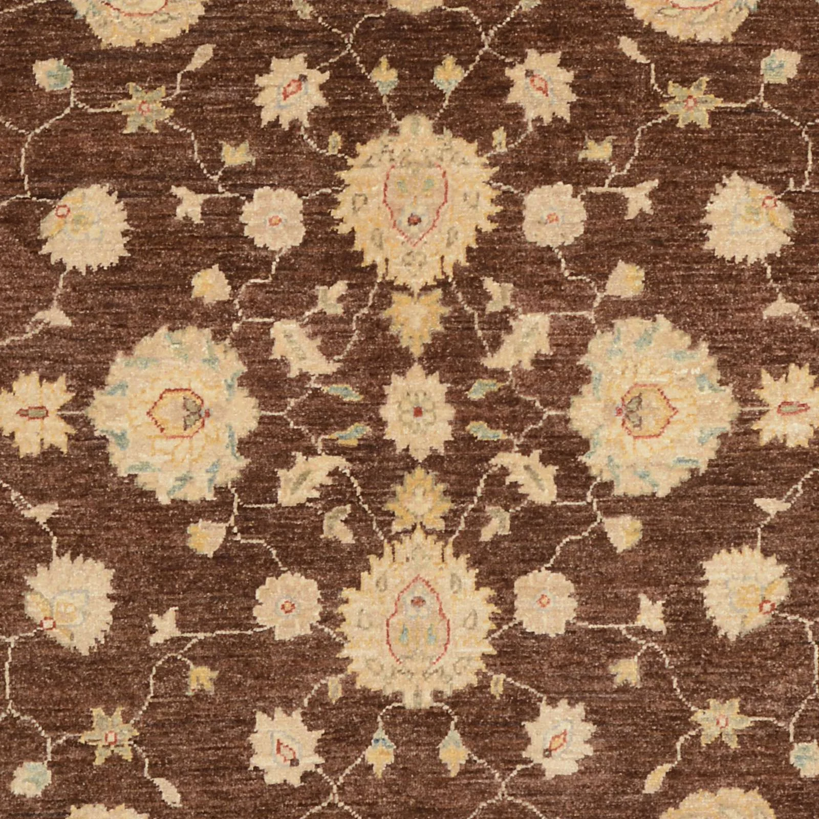 Hand-Knotted Wool Ziegler Pakistani Rug, 170 × 239 cm