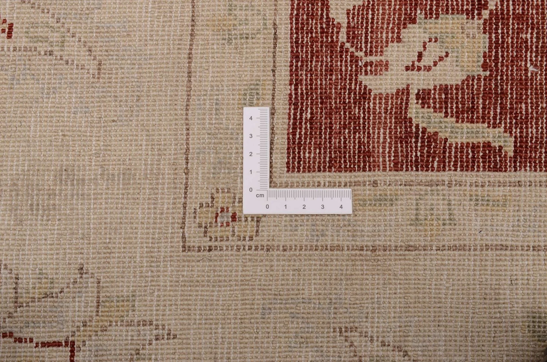 Hand-Knotted Wool Ziegler Pakistani Rug, 196 × 298 cm