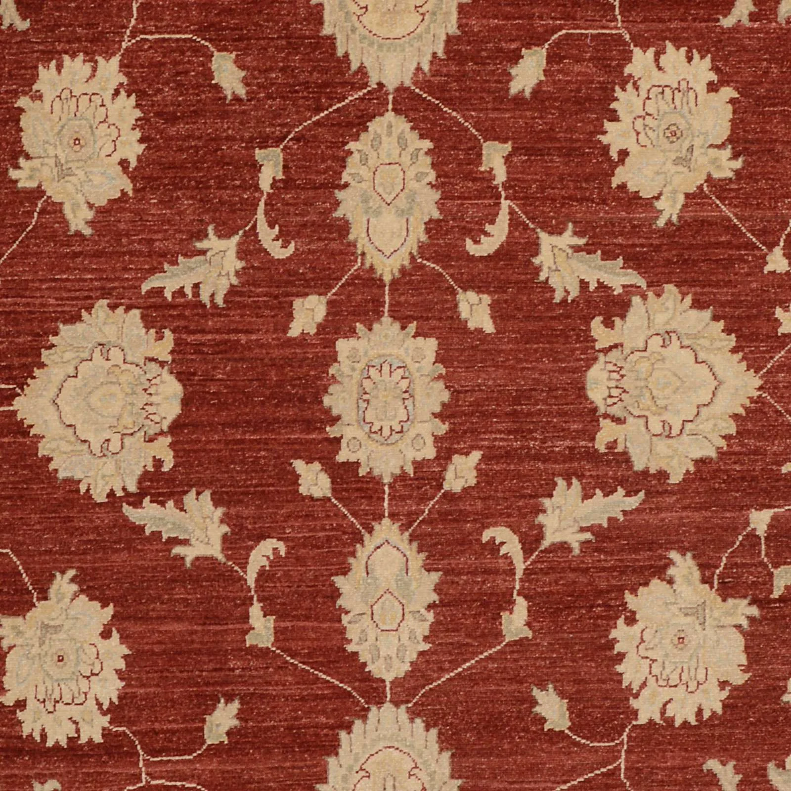 Hand-Knotted Wool Ziegler Pakistani Rug, 196 × 298 cm