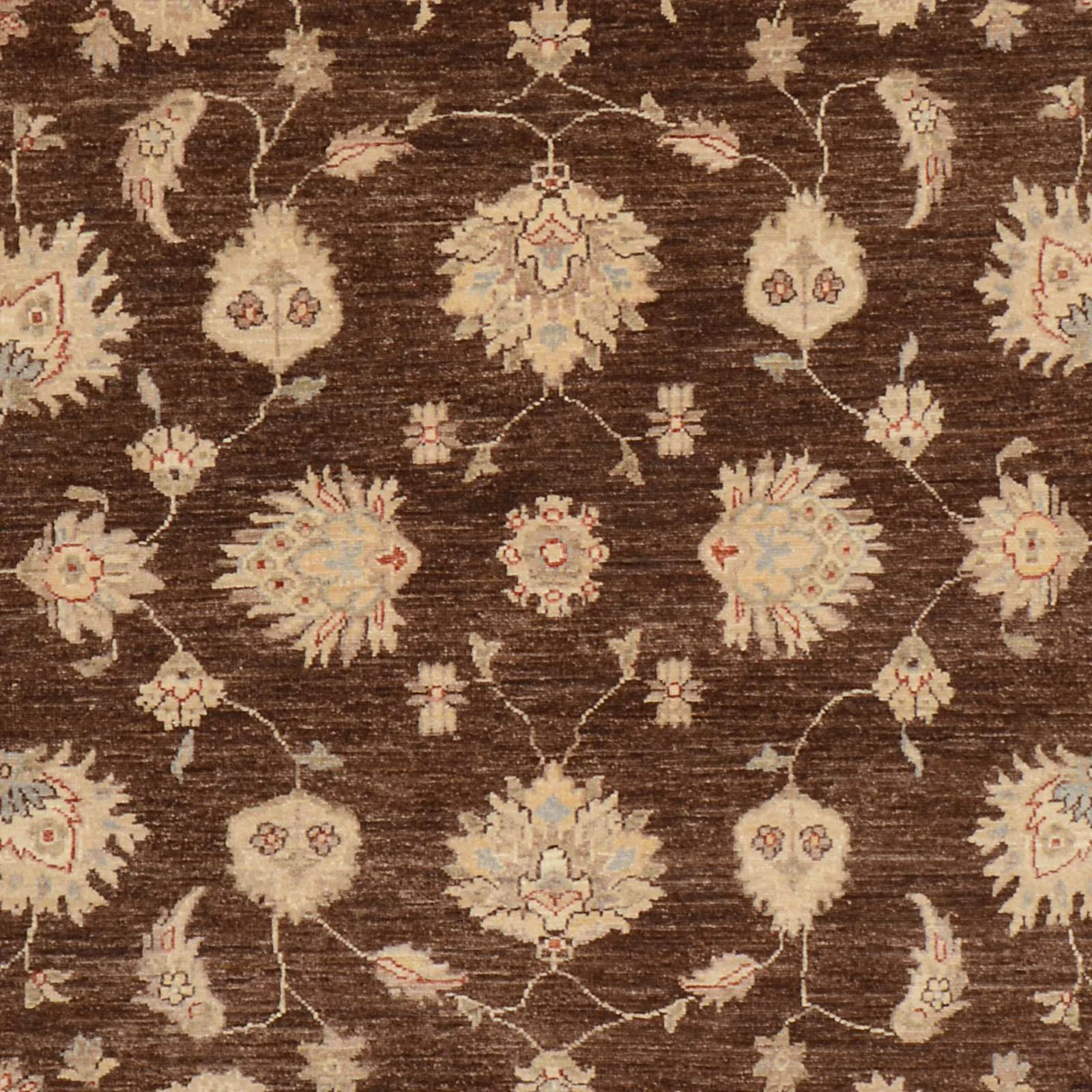 Hand-Knotted Wool Ziegler Pakistani Rug, 192 × 300 cm