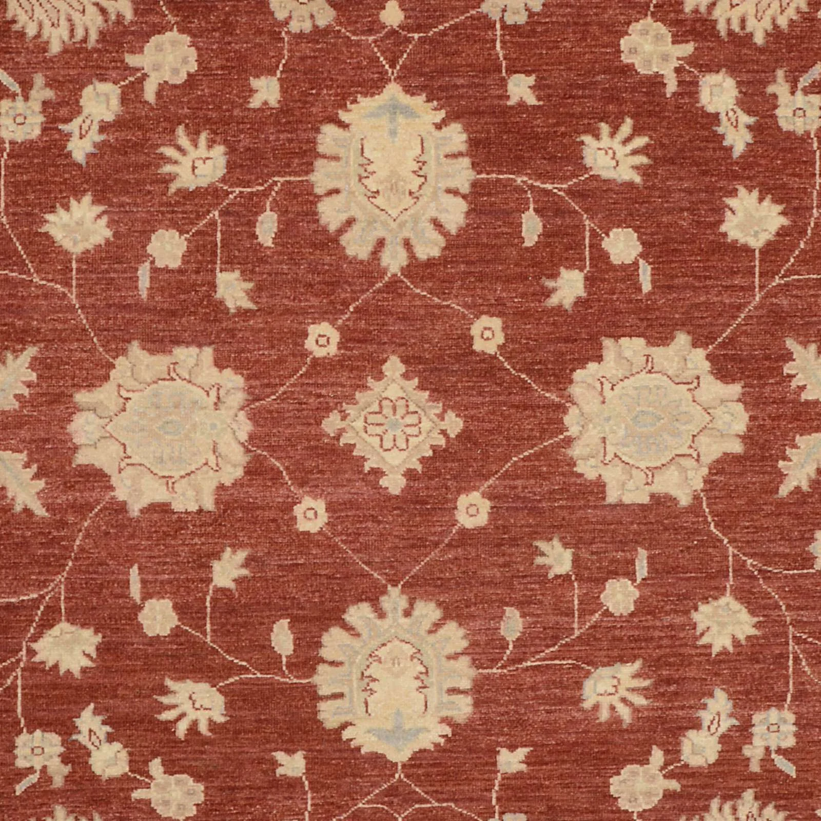 Ziegler Pakistani Rug 191 × 291 cm, Wool, hand-knotted