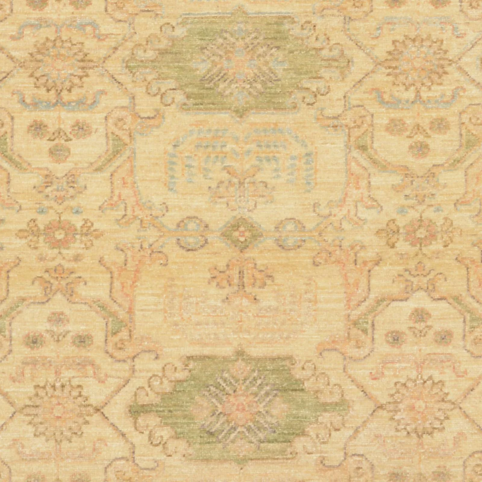 Ziegler Pakistani Rug — hand-knotted, 123 × 176 cm, Wool
