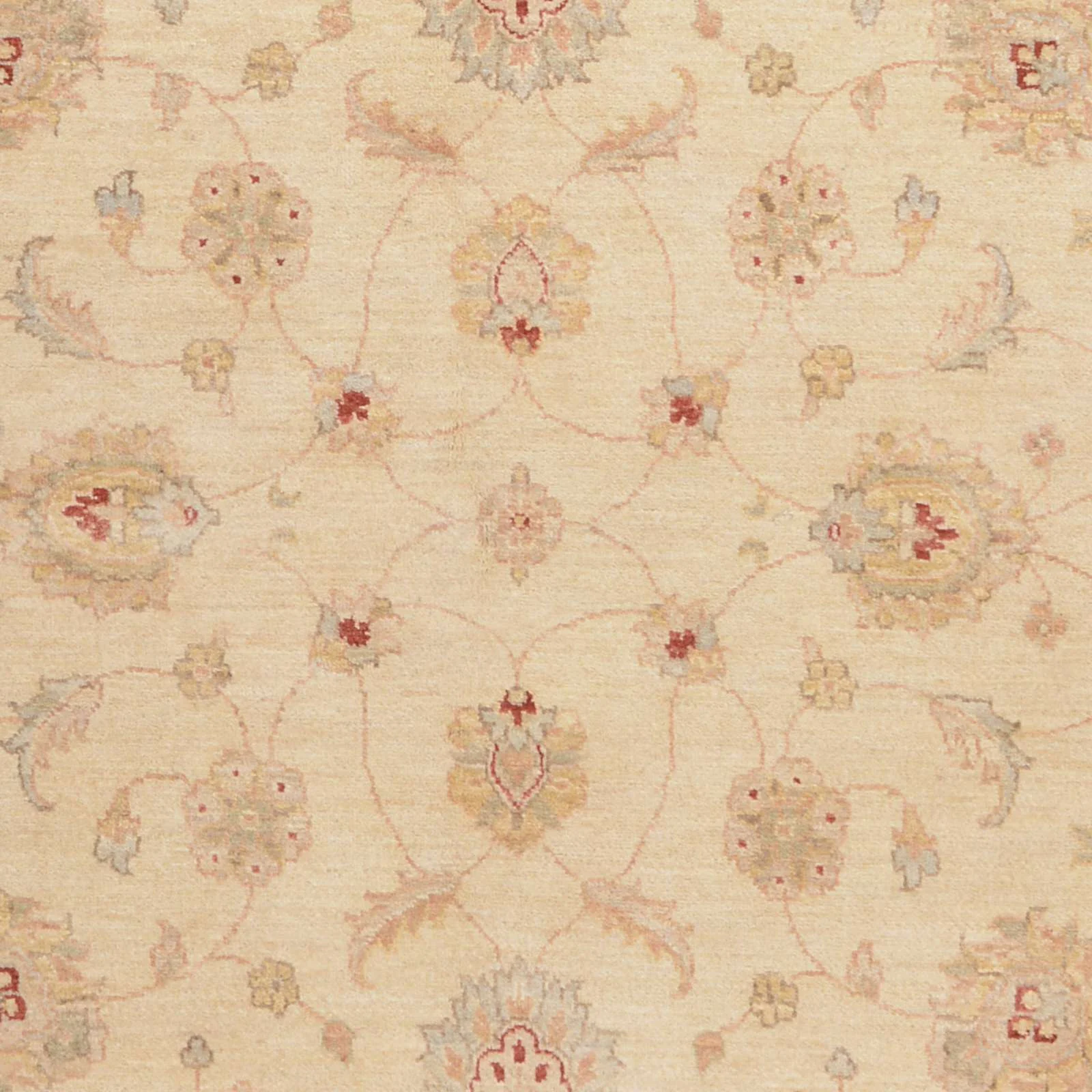 Ziegler Afghan Rug — hand-knotted, 168 × 247 cm, Wool