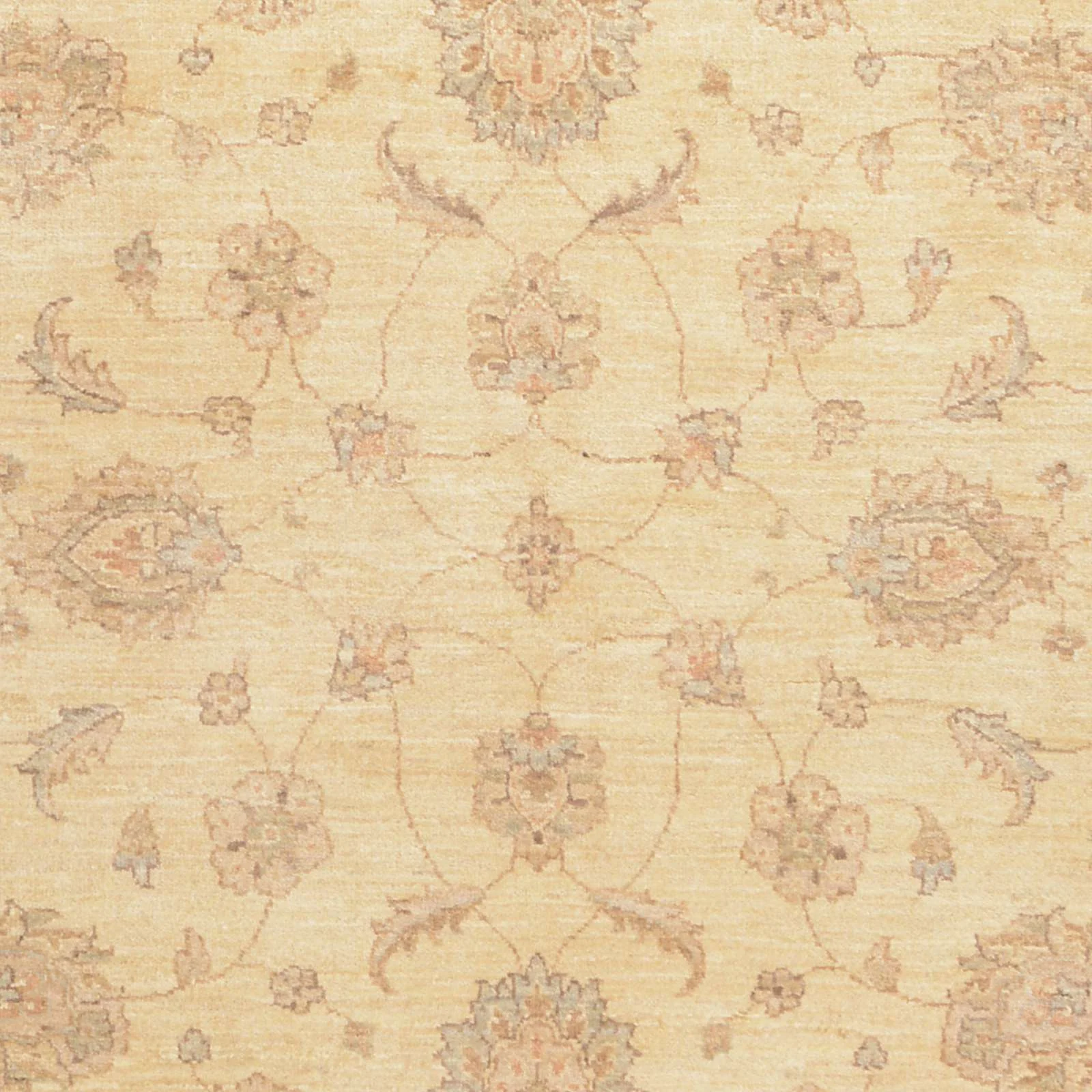 Hand-Knotted Wool Ziegler Afghan Rug, 170 × 234 cm