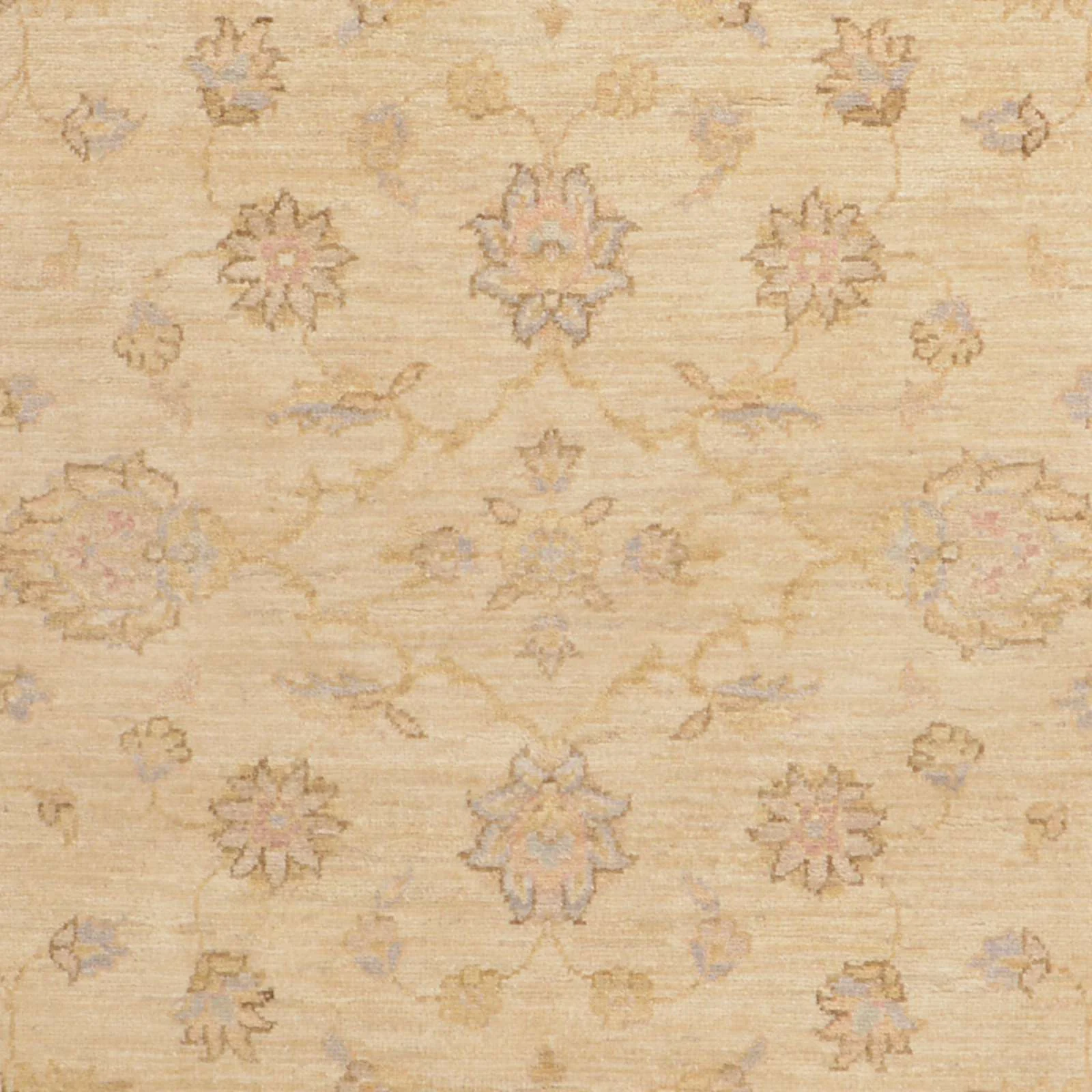 Ziegler Pakistani Rug — hand-knotted, 126 × 189 cm, Wool