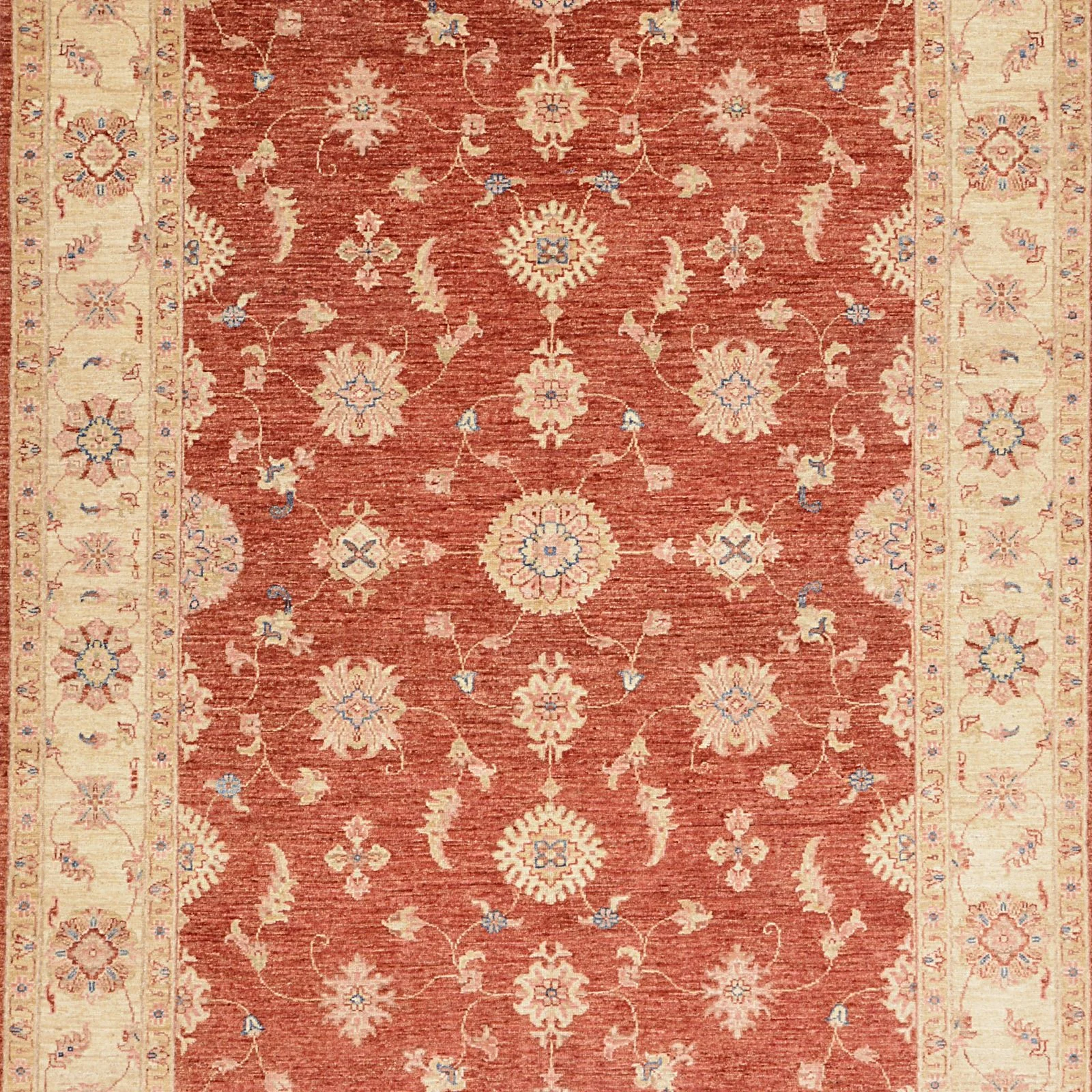 pakistan-ziegler-171-x-245-cm-schurwolle-handgeknupft-beige-5 Ziegler Pakistani Rug — hand-knotted, 171 × 245 cm, Wool