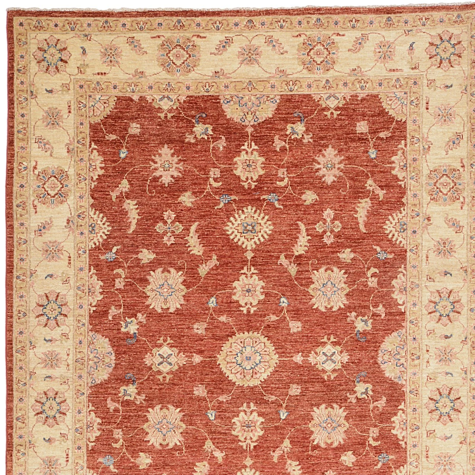 pakistan-ziegler-171-x-245-cm-schurwolle-handgeknupft-beige-6 Ziegler Pakistani Rug — hand-knotted, 171 × 245 cm, Wool