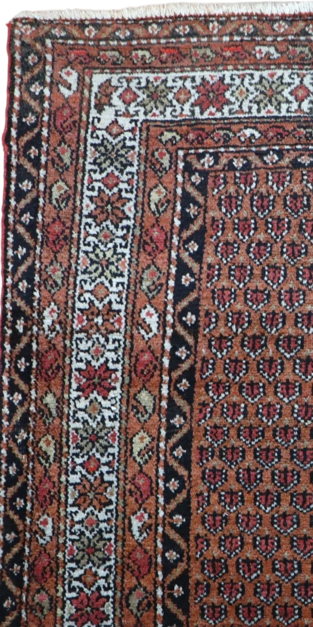 Malayer Persian Rug 185 × 112 cm, Wool, hand-knotted