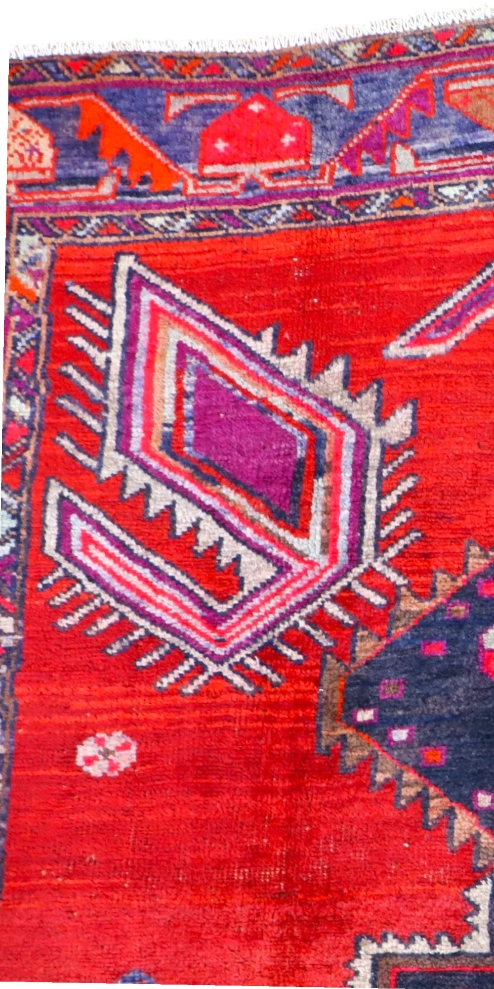 Hand-Knotted Wool Hamadan Persian Rug, 246 × 163 cm