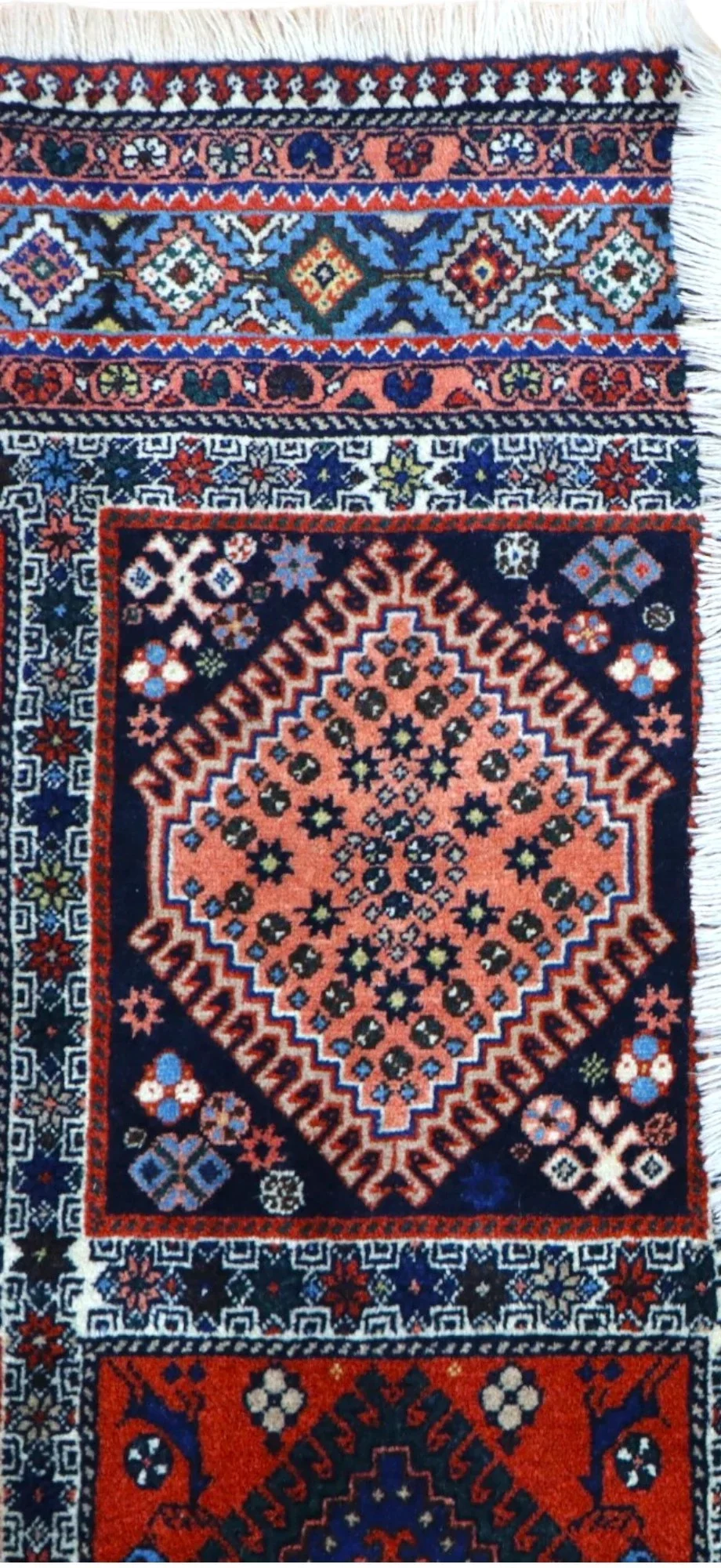 Persian Rug — hand-knotted, 244 × 155 cm, Wool