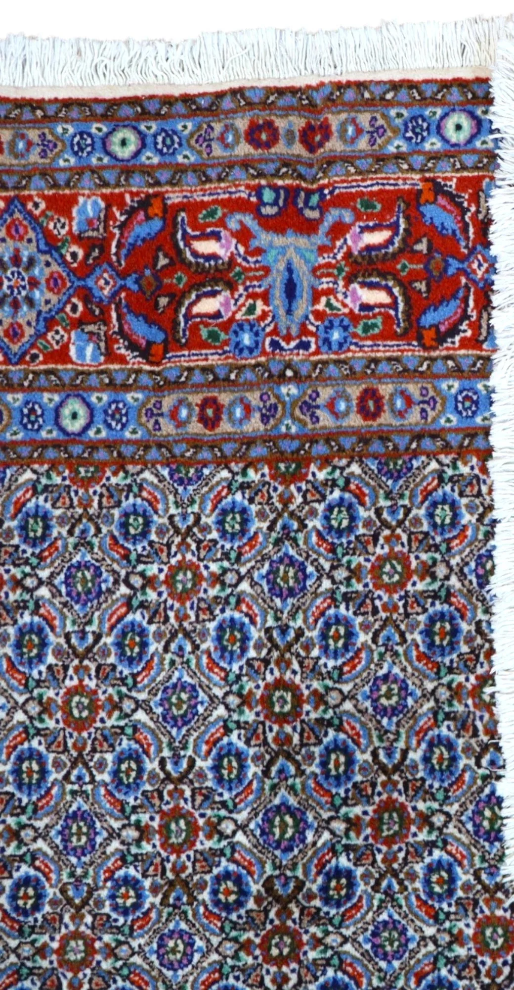Moud Persian Rug 250 × 155 cm, Wool, hand-knotted