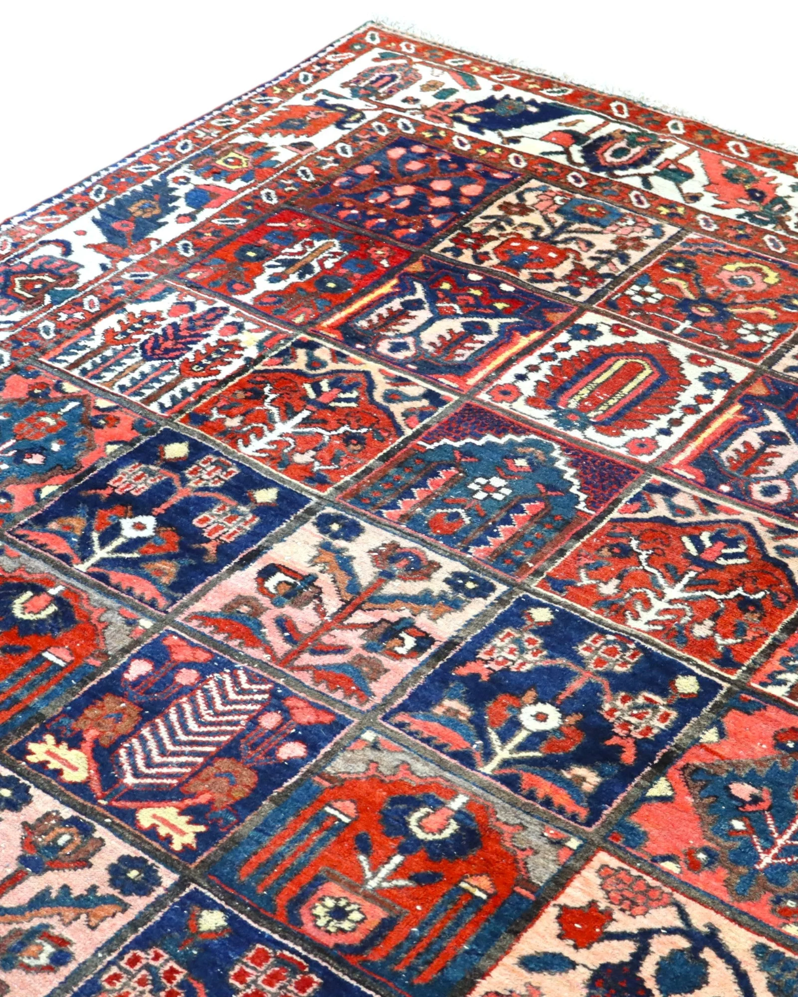 Bakhtiari Persian Rug 305 × 209 cm, Wool, hand-knotted