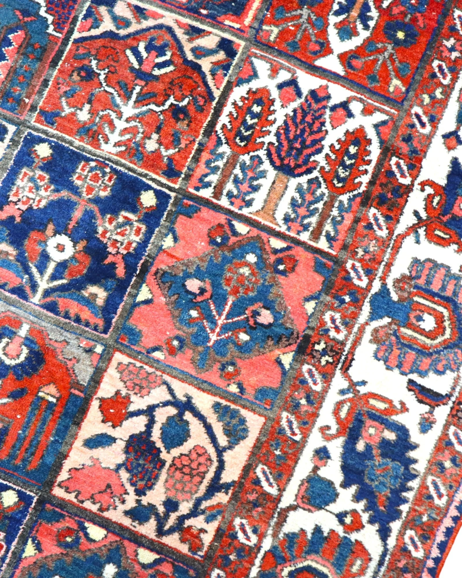 Bakhtiari Persian Rug 305 × 209 cm, Wool, hand-knotted
