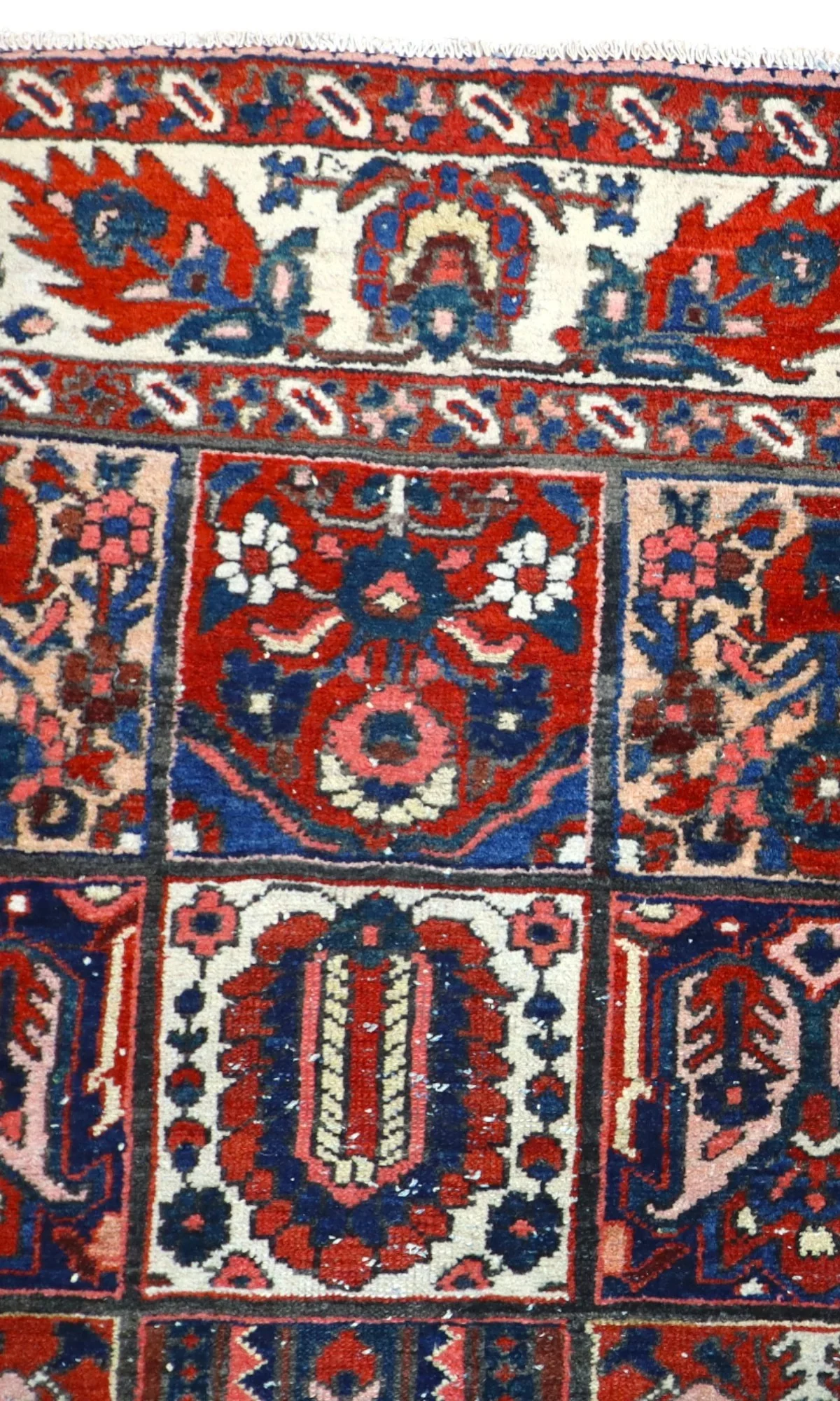 Bakhtiari Persian Rug 305 × 209 cm, Wool, hand-knotted